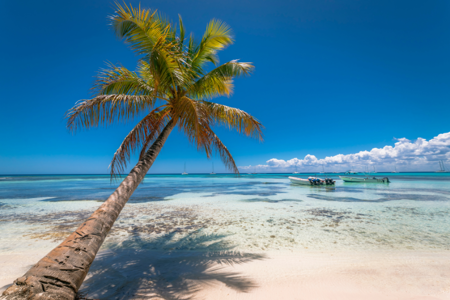 bayahibe-6.png