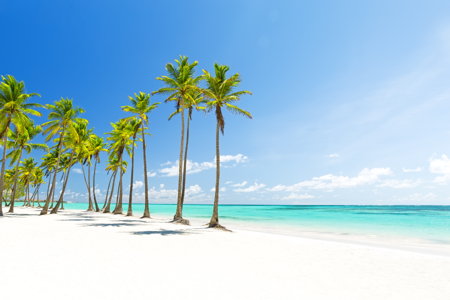 punta-cana-1.png