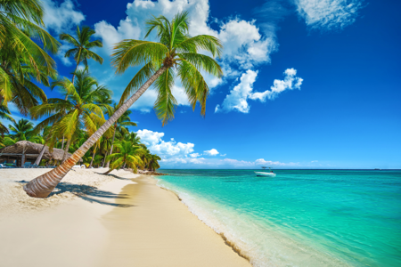 punta-cana-3.png