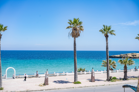monastir-1.png