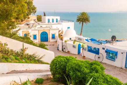 tunisia-voo-direto-lisboa-tunes-lugares-garantidos-11342_0_18278.jpg