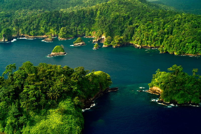 STP Falcon Gp. Picture 106