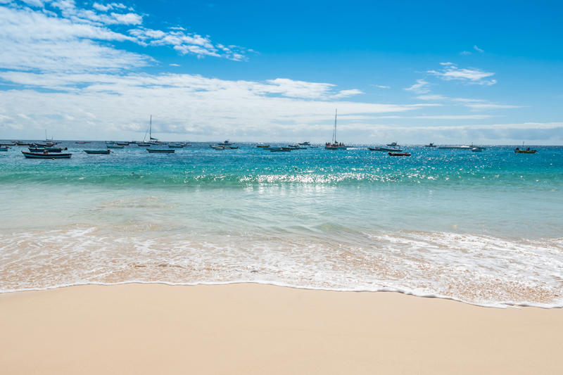 shutterstock_236980207